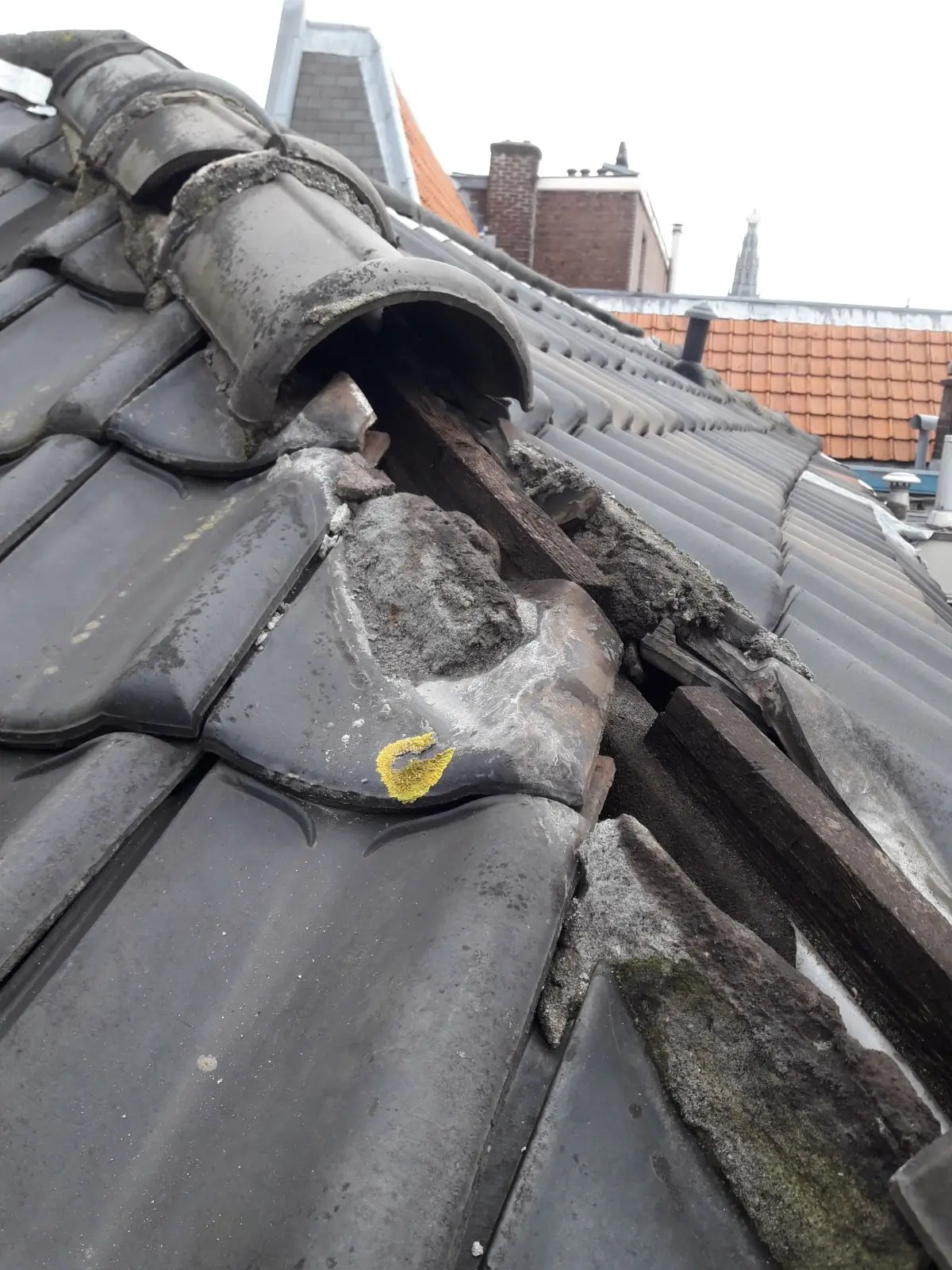 dakherstel-door-stokvisbouw-foto-1