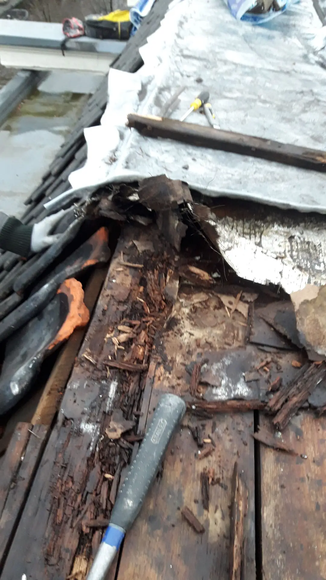 dakherstel-door-stokvisbouw-foto-2